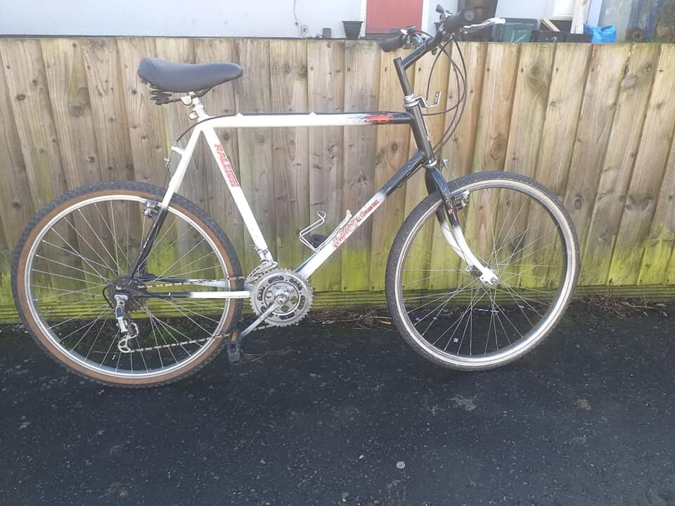 raleigh mustang mountain bike